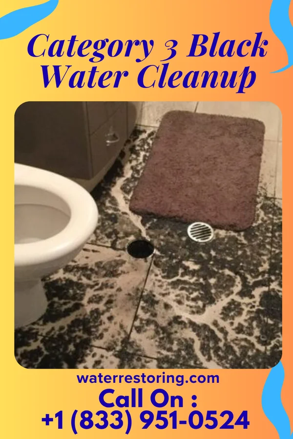 Category 3 Black Water Cleanup in Ironton, OH